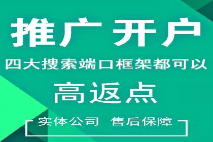 竞价托管SEM案例分析：提升品牌曝光度